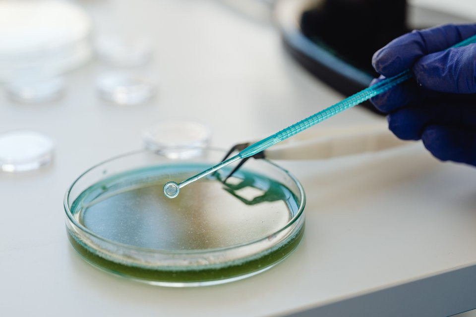 National Diploma in Applied Biotechnology